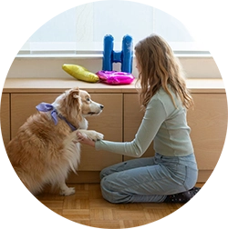Lerntraining und Englisch-Lerntraining für legasthene/ leserechtschreibschwache Schüler